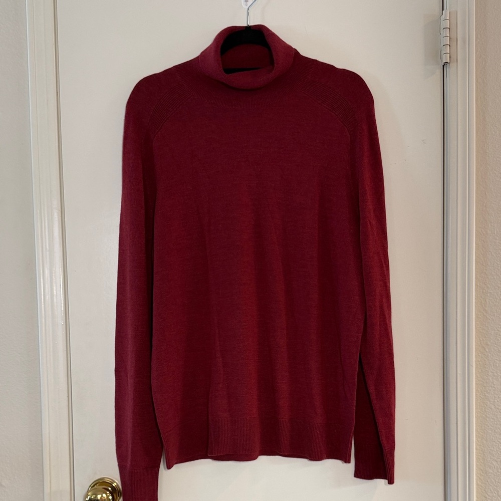 Express Men’s Turtleneck Sweater 100% Merino Wool NWT Size L